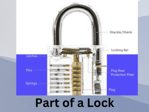 image of a lock displaying different parts of a lock like shank, plug, springs, pins etc.