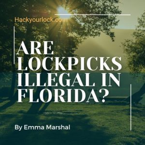 are lockpicks illegal in florida? by emma marshal