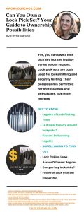 can you own lock pick sets-inforgraphics by emma marshall