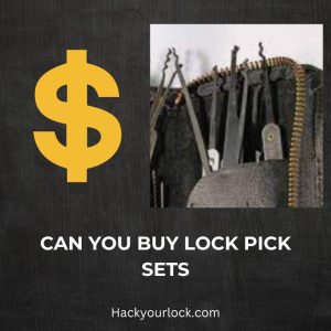 can you buy lock pick set with a dollar sign and lock pick set in black zipper bag