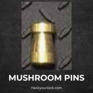 mushroom pins
