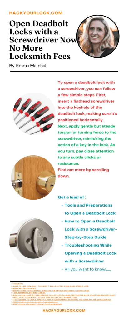 open a deadbolt lock with a scredriver- infographics by emma marshal hackyourlock.com