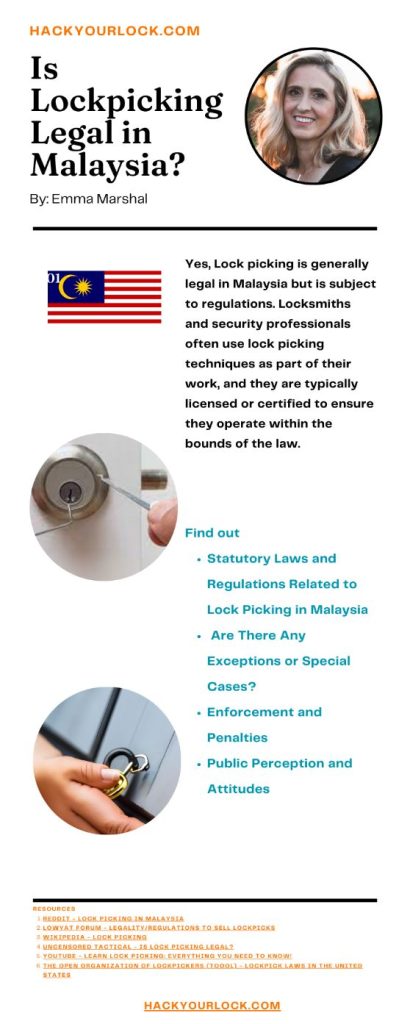 is lock picking legal in malaysia-infographics by Emma Marshal